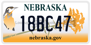 18BC47  license plate in NE