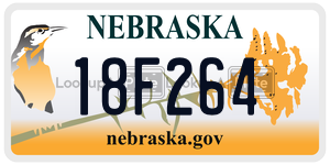 18F264  license plate in NE