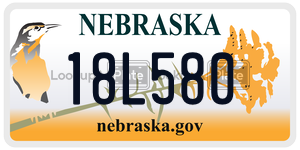18L580  license plate in NE