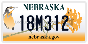 18M312  license plate in NE