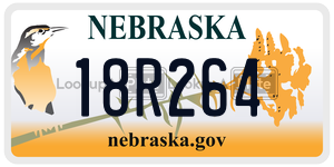 18R264  license plate in NE