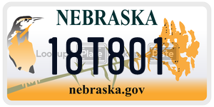 18T801  license plate in NE