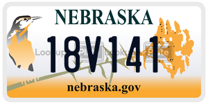 18V141  license plate in NE