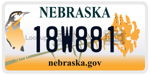 18W881  license plate in NE