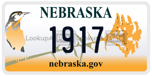 1917  license plate in NE