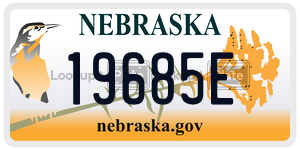 19685E  license plate in NE