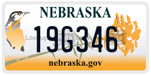 19G346  license plate in NE