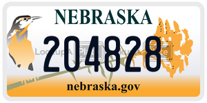 204828  license plate in NE