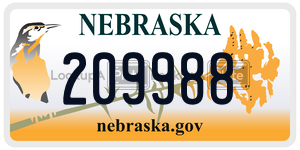 209988  license plate in NE
