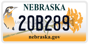 20B289  license plate in NE
