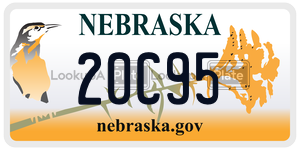 20C95  license plate in NE