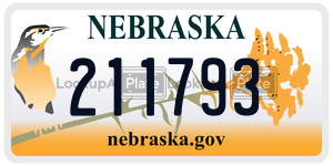 211793  license plate in NE