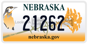 21262  license plate in NE