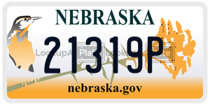 21319P  license plate in NE
