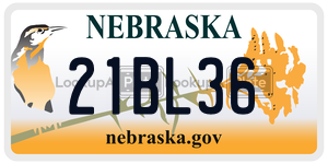 21BL36  license plate in NE
