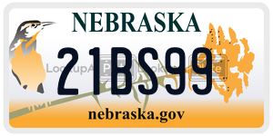 21BS99  license plate in NE