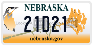 21D21  license plate in NE