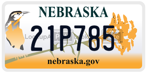 21P785  license plate in NE