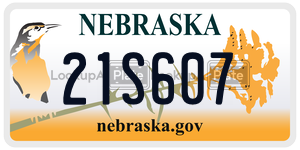 21S607  license plate in NE