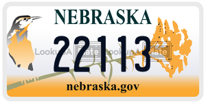 22113  license plate in NE