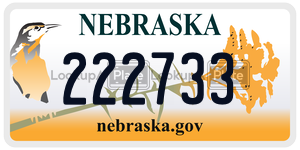 222733  license plate in NE