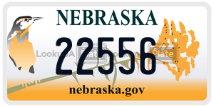 22556  license plate in NE