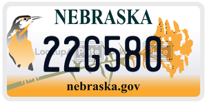 22G580  license plate in NE