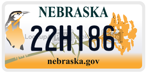 22H186  license plate in NE