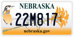 22M817  license plate in NE