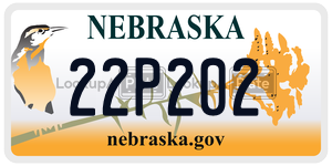 22P202  license plate in NE