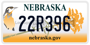 22R396  license plate in NE