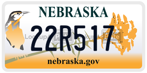 22R517  license plate in NE