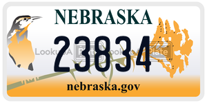 23834  license plate in NE