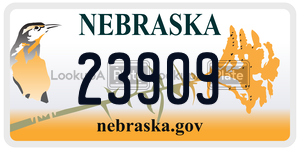 23909  license plate in NE