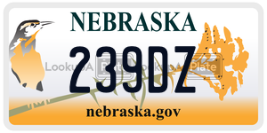 239DZ  license plate in NE