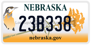 23B338  license plate in NE