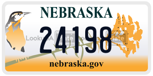 24198  license plate in NE