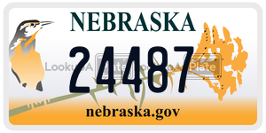 24487  license plate in NE
