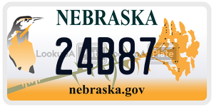 24B87  license plate in NE