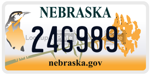 24G989  license plate in NE