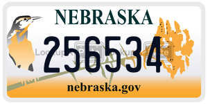 256534  license plate in NE