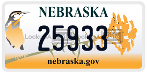 25933  license plate in NE