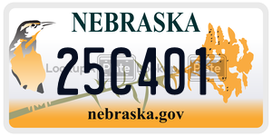 25C401  license plate in NE