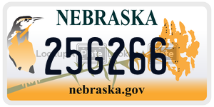 25G266  license plate in NE
