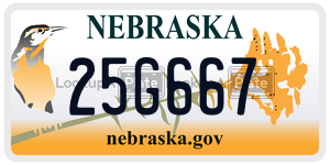 25G667  license plate in NE