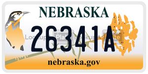 26341A  license plate in NE