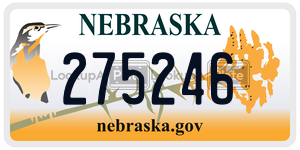 275246  license plate in NE