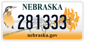 281333  license plate in NE