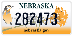 282473  license plate in NE