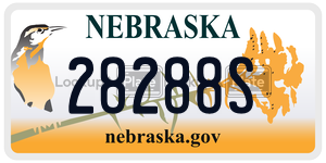 28288S  license plate in NE